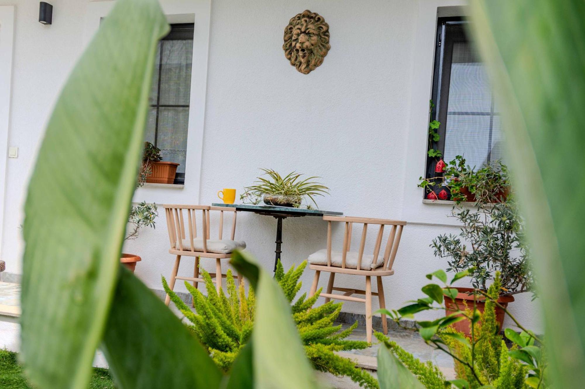 Arden'S House Bed & Breakfast Bodrum Eksteriør bilde